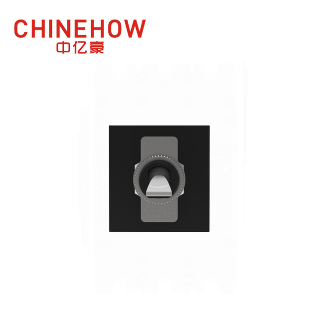 CVP-SM 液壓式磁力斷路器槳式執行器，帶 M4 螺釘母線 2P 黑色