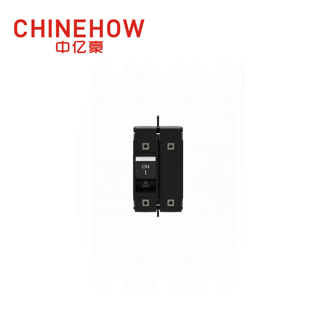 CVP-FR 液壓磁力斷路器扁搖臂執行器帶 M5 螺釘 2P